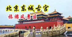 大鸡巴操骚逼捅菊花视频中国北京-东城古宫旅游风景区
